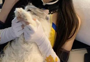 一场奇怀游！通过“黑料不打烊”分享的传送门网页，你会怀疑是不是在做梦。